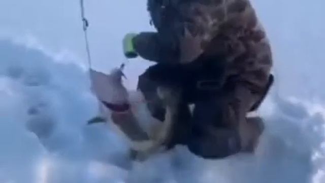 ловля щуки зимой на жерлицу смотреть онлайн