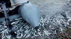 Вдоль берега пирса  мелкой сельди   можно теперь рыбачить взяв собой сочек #Советская Гавань .