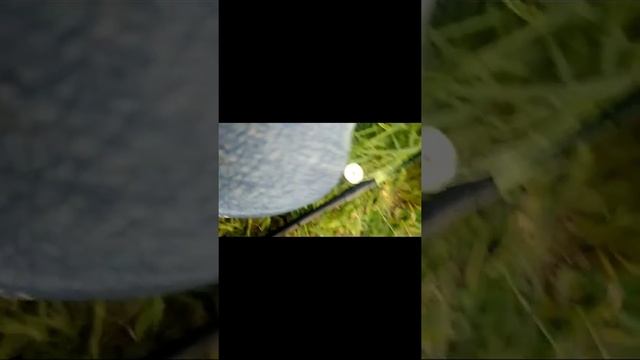 Лучшая наживка на карася смотреть онлайн