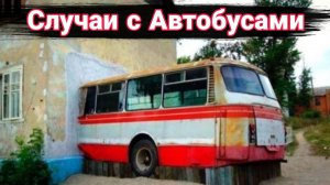 Неудачные и необычные случаи на дороге с автобусами и троллейбусами