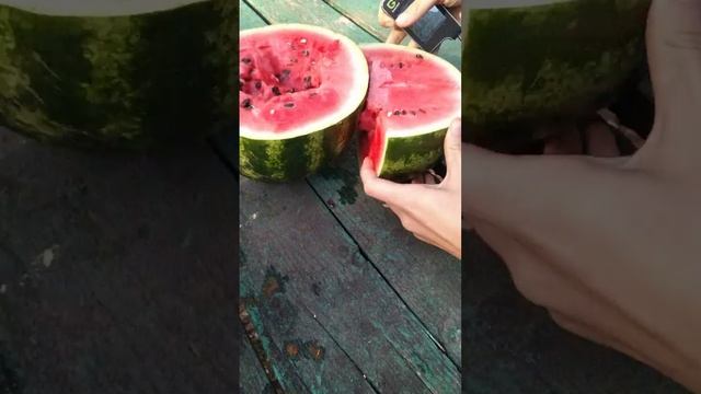 Проверка арбуза на нитраты 27.07.2020 смотреть онлайн