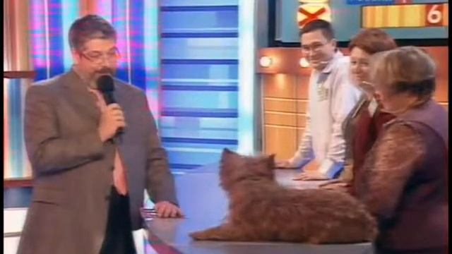 Ветврачи против собаководов 3 смотреть онлайн