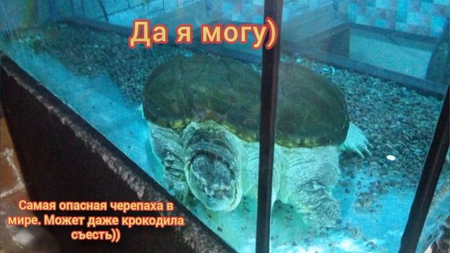 Поход в музей ОКЕАНОГРАФИИ на ул. Брилевской 3