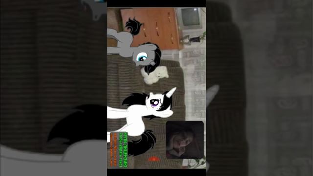 Пони страшилка спускайся реакуия