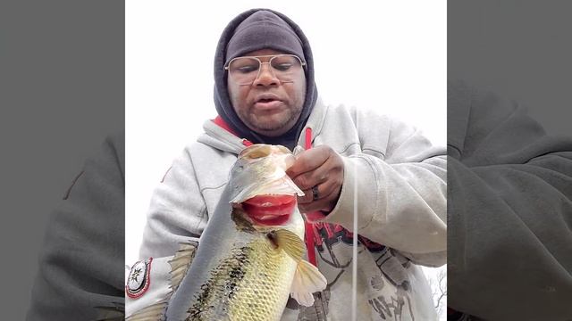 Megabass Vision Oneten +2 does it again