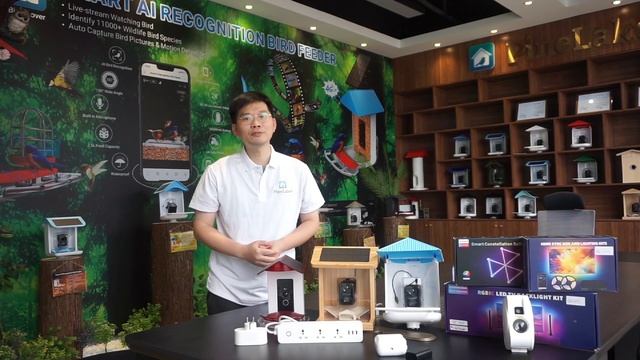 Pine Lake смотреть онлайн