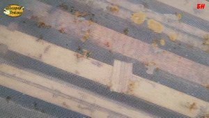 пчеловодство, объединение семей поздней осенью, всё не плохо зимуем