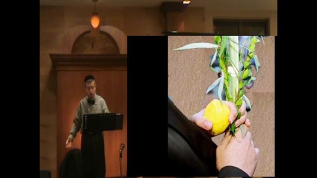 Кармен, Бизе, ария Хозе - Пурим 2011 смотреть онлайн