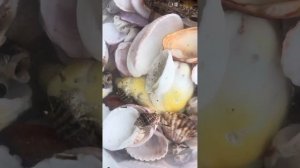 Ловля краба в Дубае