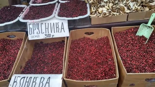 Осенняя ярмарка в Самаре. Эко-продукты.