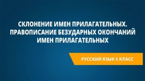 Урок 18. Склонение имен прилагательных. Правописание безударных окончаний имен прилагательных