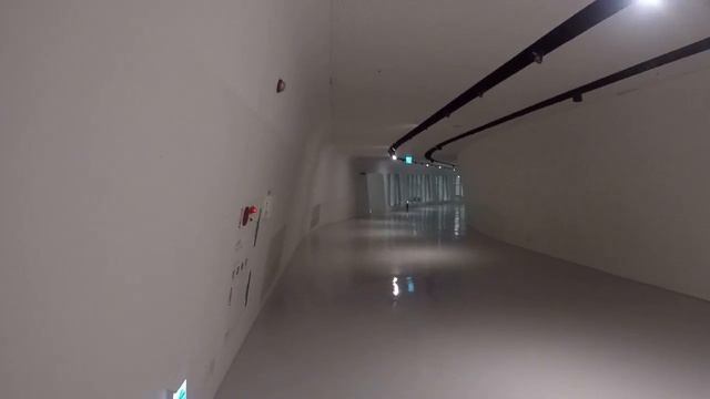 Вход в музей биоискусства. Сеул 17.12.17