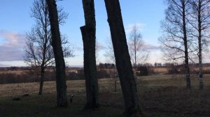 Латвия Кримулдскую лютеранскую церковь считают одним из старейших храмов Латвии