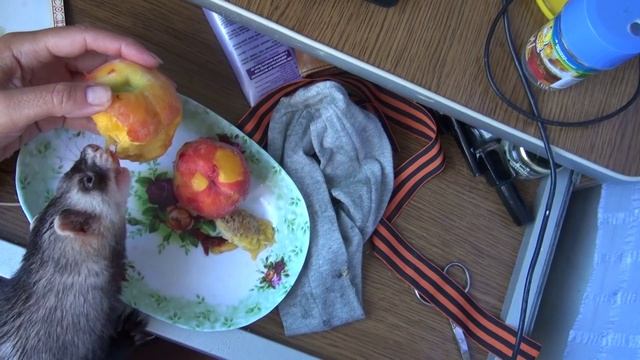 Хорь Дикс ест персик 2 смотреть онлайн