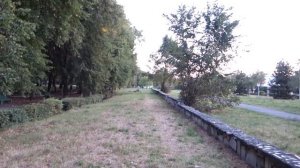 Усвояемость пищи .8 моментов .