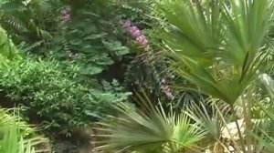 Отдых в Китае, Санья