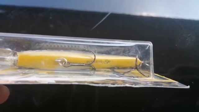 POINTER 78SP (MS AURORA SHAD) смотреть онлайн