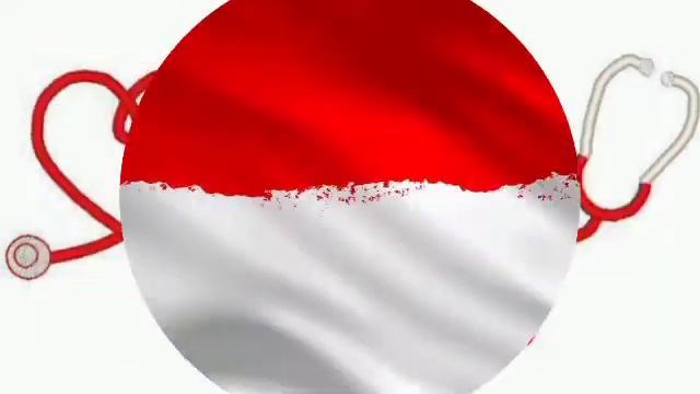 Sejarah PMI (Palang Merah Indonesia) смотреть онлайн