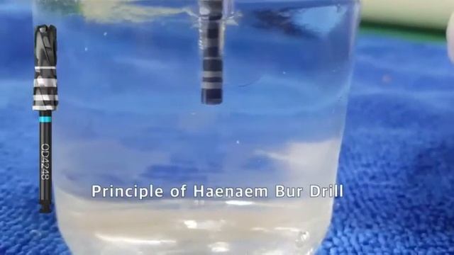 6. Total Haenaem Bur Promotion video