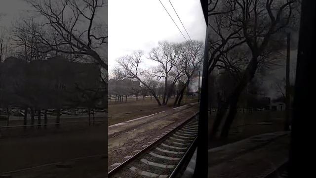 трамвай 52. ж. д. станция Сосновая поляна - Завод 