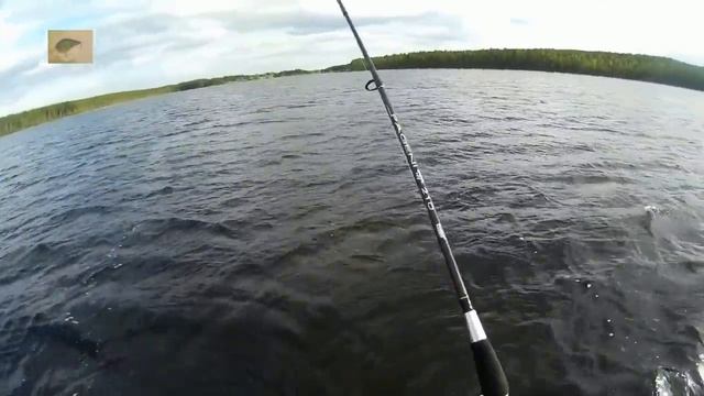 Вижн 110+1 первые поклевки! Китай. смотреть онлайн