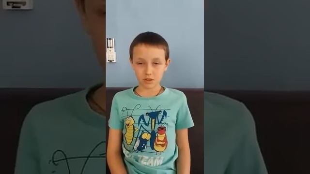 Чем питаются млекопитающие