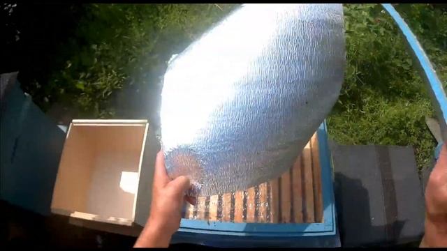 минипасека, осмотр пчелосемей, вырезка трутневого расплода, гомогенат, переселение бродячего роя смотреть онлайн