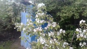 А есть ли жизнь на даче? Круглый год...( часть 2 ).