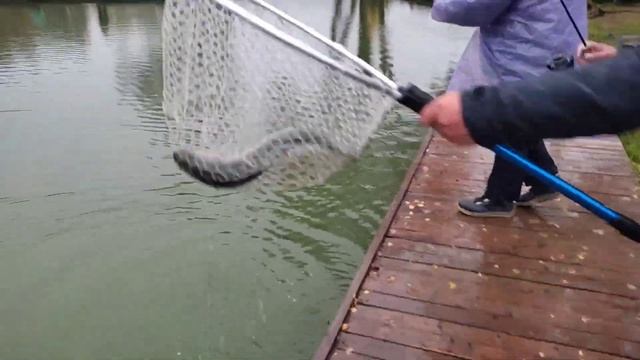 клев. смотреть онлайн