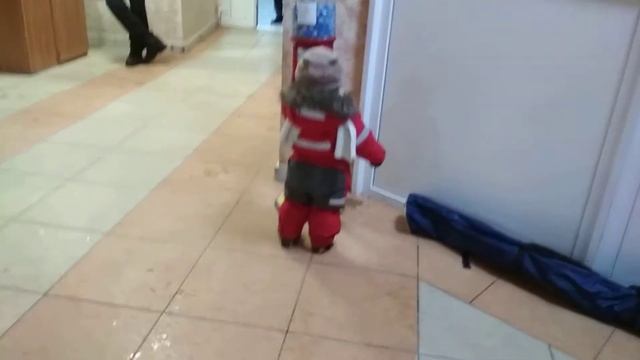 Двери закрыть смотреть онлайн