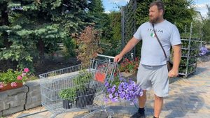 Покупаем дерево в питомнике. Берегите лес. Он стоит колосальных денег.