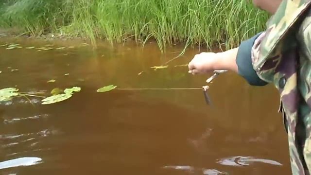 Три чудака.AVI смотреть онлайн