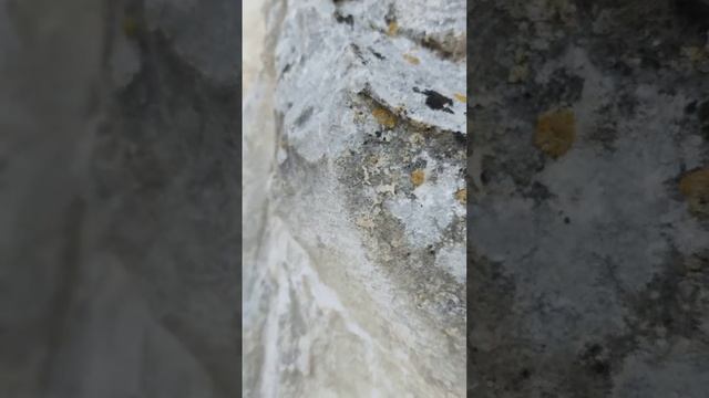 Интуитивное звучание. Звуко-коды Чистоты
