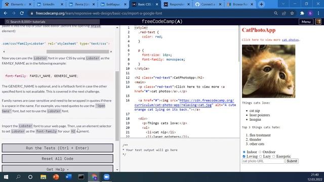 Freecodecamp - 2 Basic CSS - Part 1