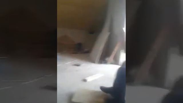 Псих на стройке смотреть онлайн