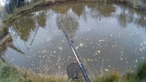 Поплавочная ловля на своем пруду