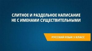 Урок 12. Слитное и раздельное написание НЕ с именами существительными