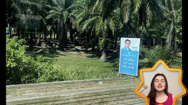 ДИЗАЙН МАГАЗИНА с ТРАВОЙ  | ТАЙЛАНД | анализируем, ошибки и крутые концепции