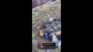 ⚡️СВО 18+ Восьмёрка ВСУшников из с.Ольговка Курской области