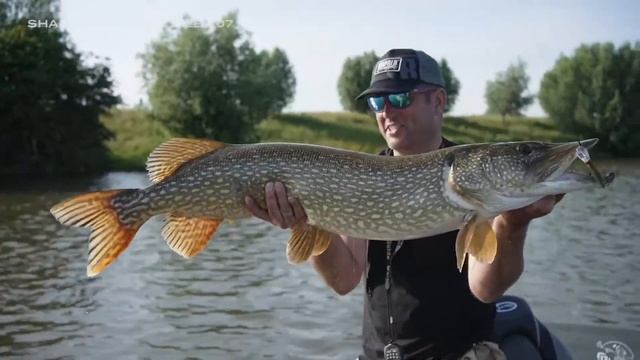 Rapala | Shadow Rap Jack Deep 7cm/10g смотреть онлайн