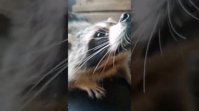 Енотокафе г. Новосибирск смотреть онлайн