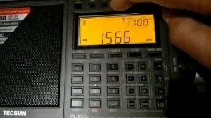 MW Tecsuns PL-990X VS PL-360