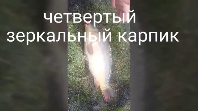 ОТКРЫВАЕМ СЕЗОН РЫБАЛКИ! смотреть онлайн