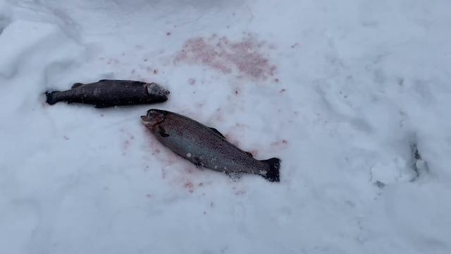 Паста работает. смотреть онлайн