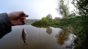 Ловля карася на мормышку. Весенний белый хищник