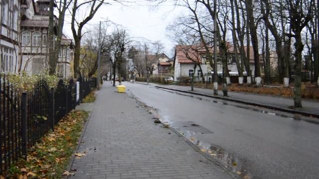 Зеленоградск, улица Московская. Выпуск №2
