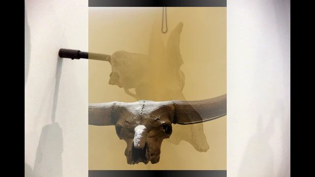 ЖИЗНЬ В США Американский музей естественной истории Фильм пятьдесят четвёртый смотреть онлайн