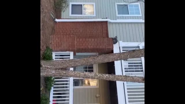 Knocking on ppl door 😭😂1-2 смотреть онлайн