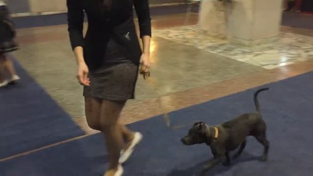 Нюша занятие 13.02.16 смотреть онлайн