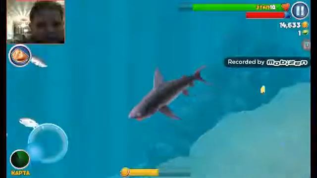 новая клевая акула :- D смотреть онлайн